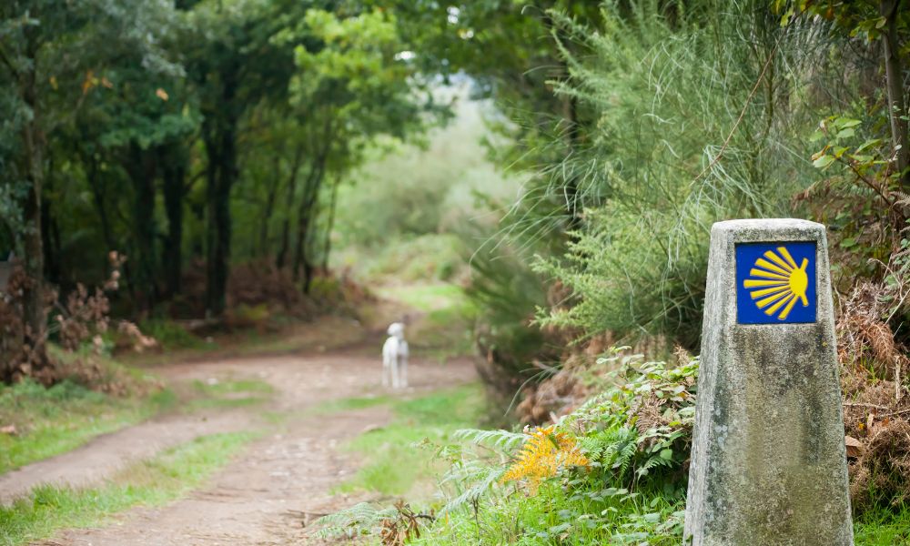 Ilustración de personas preparándose para iniciar el Camino de Santiago